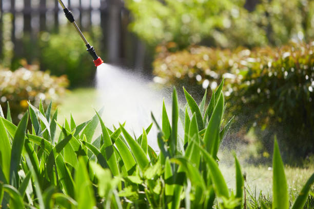 Tamper-Resistant Bait Stations for Rodents in Bethany
