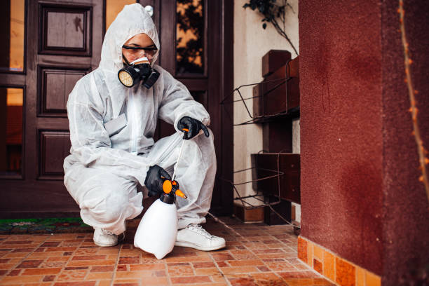 Attic and Crawl Space Rodent Treatment in Bethany